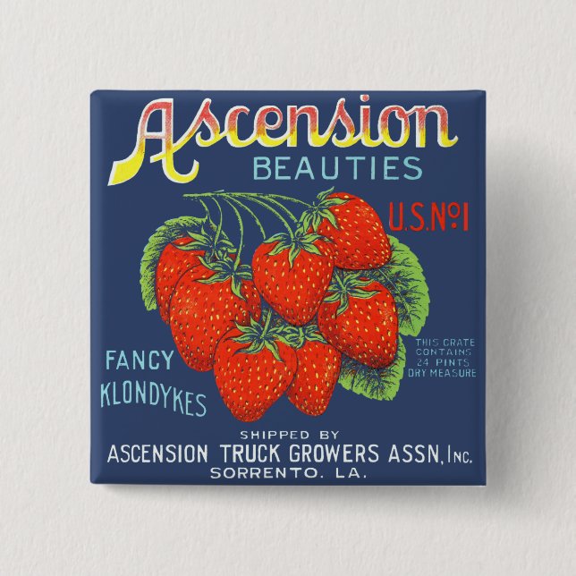 Ascension Beauties Fancy Klondykes Strawberries 15 Cm Square Badge (Front)