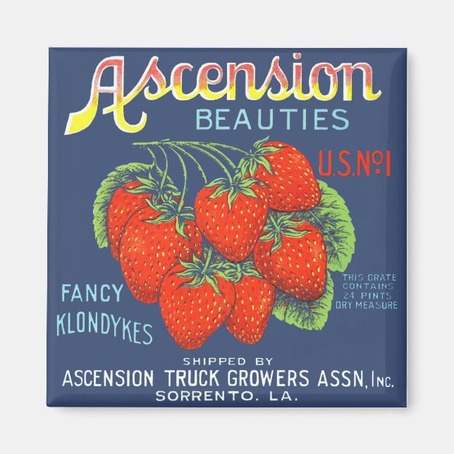Ascension Beauties Strawberries Magnet (Front)