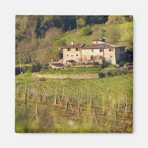 Aschuito, a working farm that accepts guests, magnet