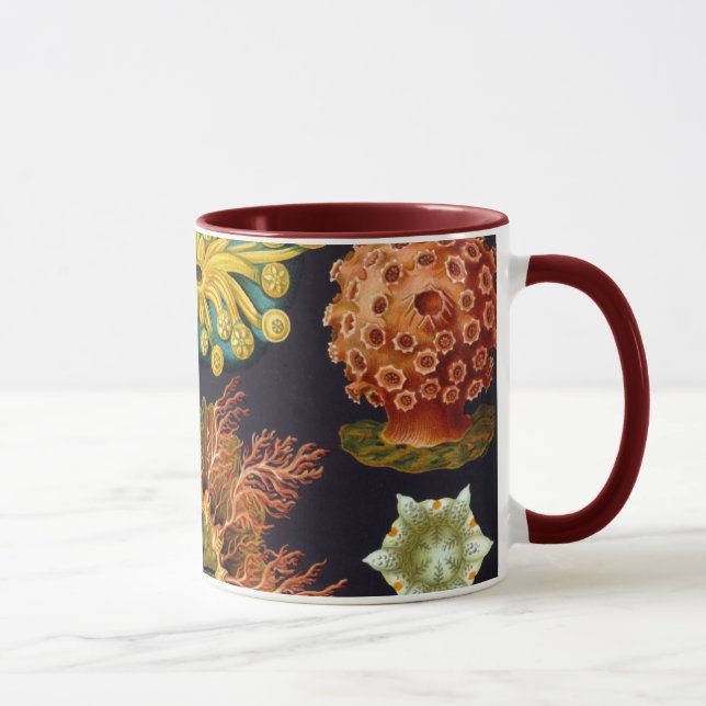 Ascidiae by Ernst Haeckel, Vintage Marine Animals Mug (Right)