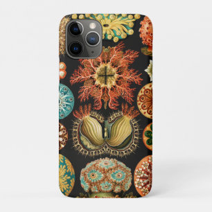 Ascidiae, Seescheiden Marine Life by Ernst Haeckel iPhone 11 Pro Case