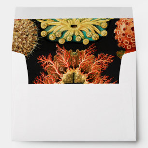 Ascidiae, Seescheiden Marine Life by Ernst Haeckel Envelope