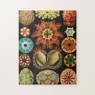 Ascidiae, Seescheiden Marine Life by Ernst Haeckel Jigsaw Puzzle