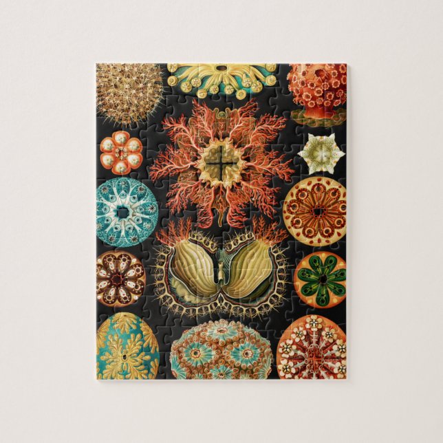 Ascidiae, Seescheiden Marine Life by Ernst Haeckel Jigsaw Puzzle (Vertical)