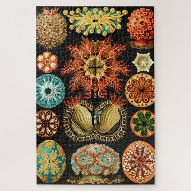 Ascidiae, Seescheiden Marine Life by Ernst Haeckel Jigsaw Puzzle (Vertical)