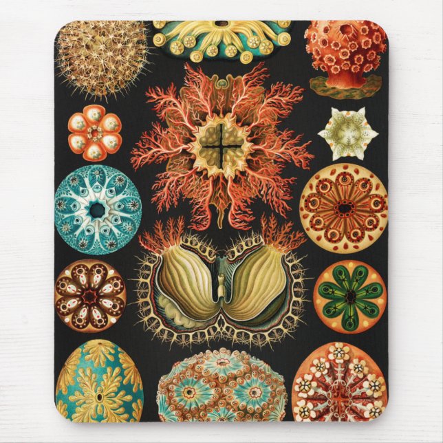 Ascidiae, Seescheiden Marine Life by Ernst Haeckel Mouse Mat (Front)