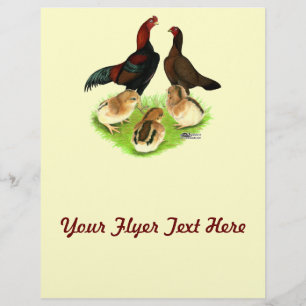 Aseel Black Red Chicken Family