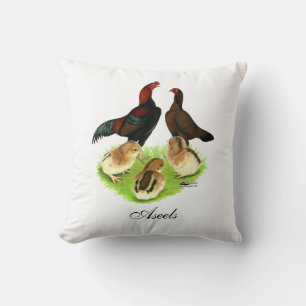 Aseel Black Red Chicken Family Cushion