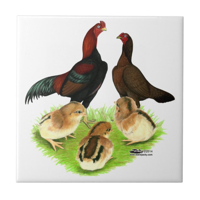 Aseel Black Red Chicken Family Tile (Front)