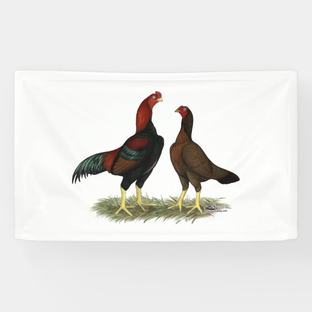 Aseel Black Red Chickens Banner (Horizontal)