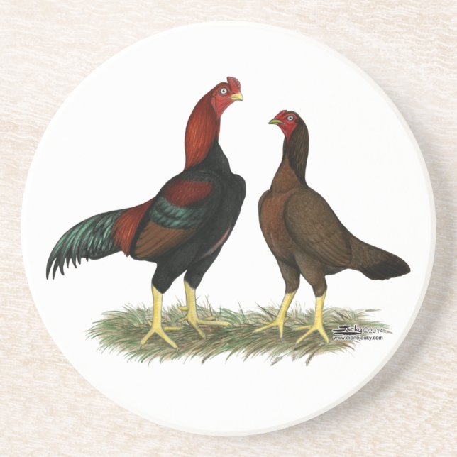 Aseel Black Red Chickens Coaster (Front)