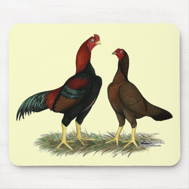 Aseel Black Red Chickens Mouse Mat (Front)