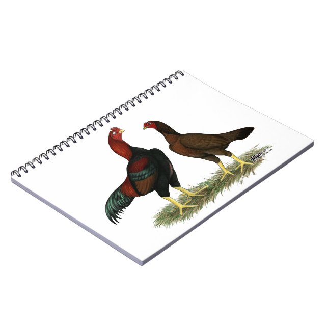 Aseel Black Red Chickens Notebook (Left Side)