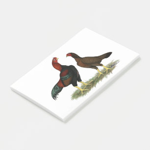 Aseel Black Red Chickens Post-it Notes