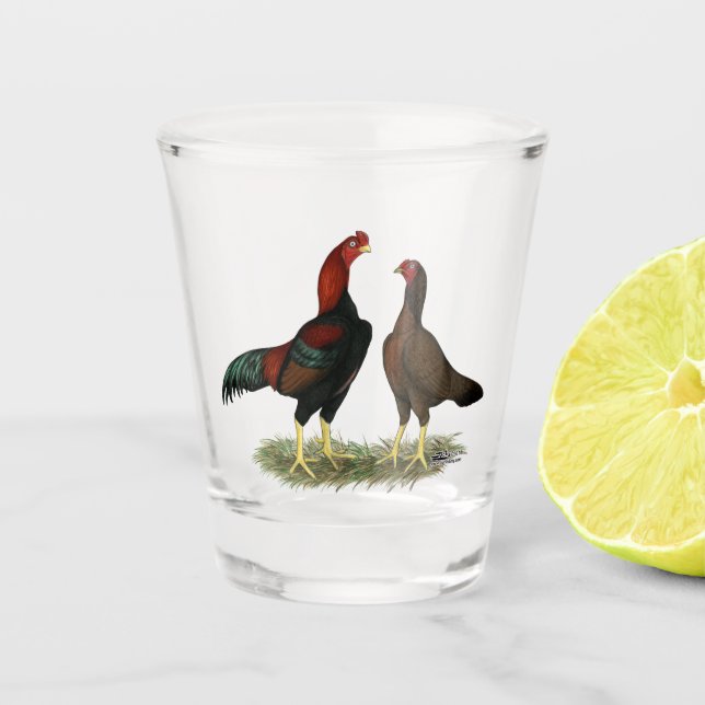 Aseel Black Red Chickens Shot Glass (Front)
