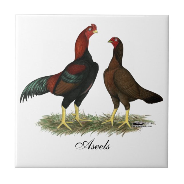 Aseel Black Red Chickens Tile (Front)