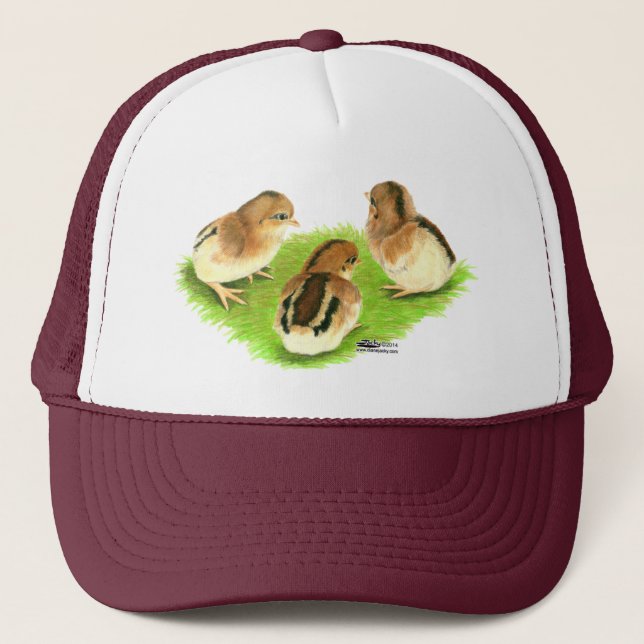Aseel Black Red Chicks Trucker Hat (Front)