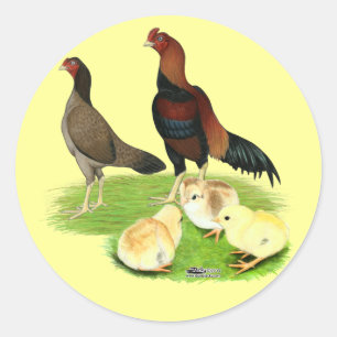 Aseel Wheaten Chicken Family Classic Round Sticker