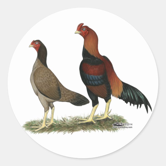 Aseel Wheaten Chickens Classic Round Sticker (Front)