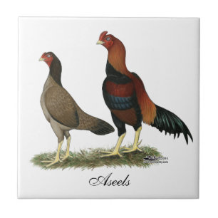Aseel Wheaten Chickens Tile