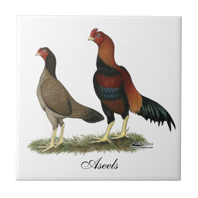 Aseel Wheaten Chickens Tile (Front)