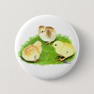 Aseel Wheaten Chicks 6 Cm Round Badge