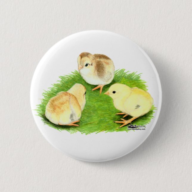 Aseel Wheaten Chicks 6 Cm Round Badge (Front)