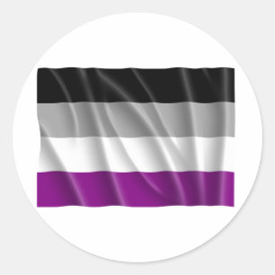 ASEXUAL FLAG FLYING CLASSIC ROUND STICKER