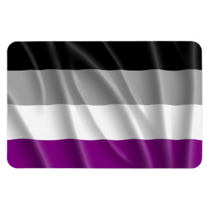 ASEXUAL FLAG FLYING -.png Magnet