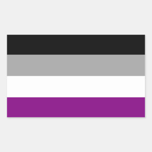 Asexual Flag Rectangular Sticker