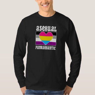 Asexual Panromantic Pride Flag Cute  Ace Aesthetic T-Shirt