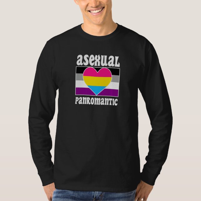 Asexual Panromantic Pride Flag Cute  Ace Aesthetic T-Shirt (Front)