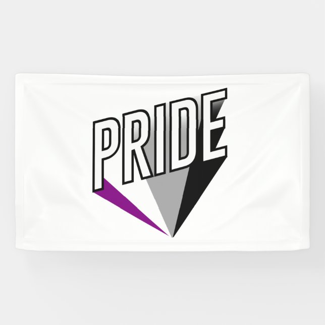 Asexual Pride Burst Banner (Horizontal)