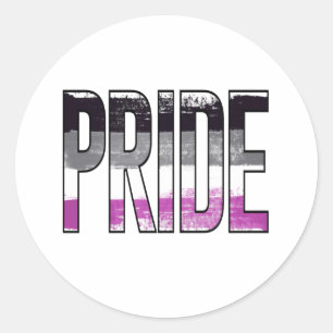 Asexual Pride Word Classic Round Sticker