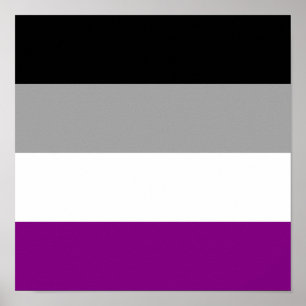 Asexuality pride flag poster