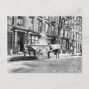 Ash Cart New York 1896 Postcard