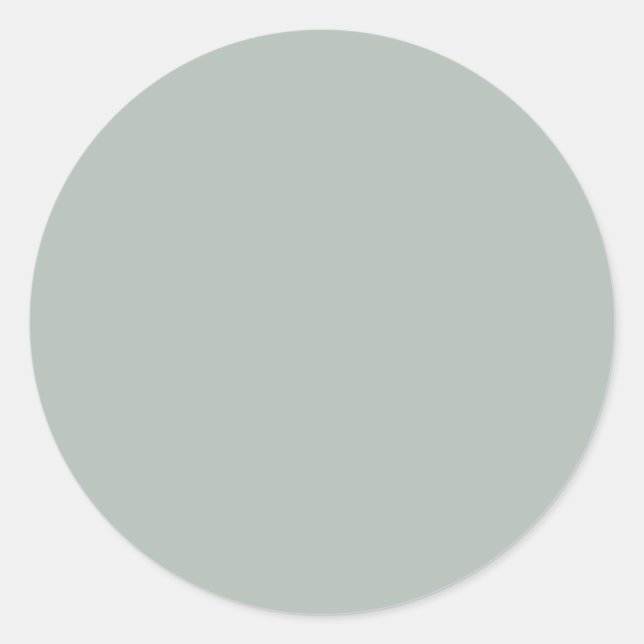 Ash grey (solid colour) classic round sticker (Front)
