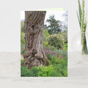 Ash Tree textured bark patterns Hidcote Garden  Card