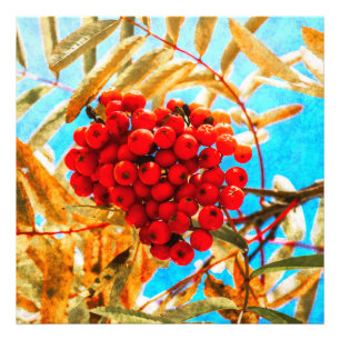 Ashberry artistic photo print