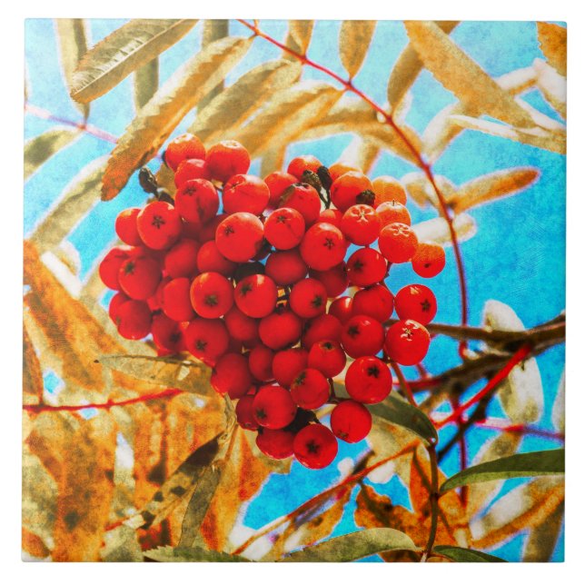 Ashberry artistic tile (Front)
