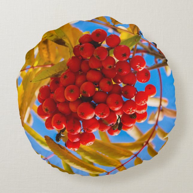 Ashberry Round Cushion (Back)