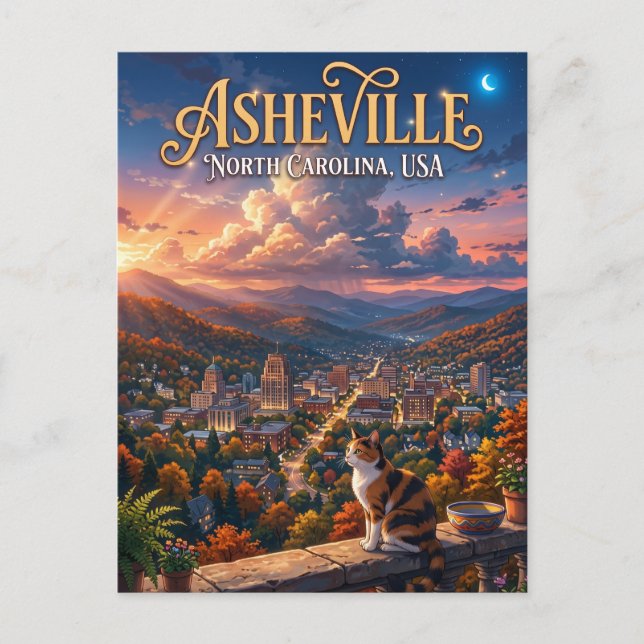 Asheville USA Postcard (Front)