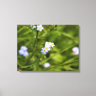 Asheville Wildflower Canvas Print