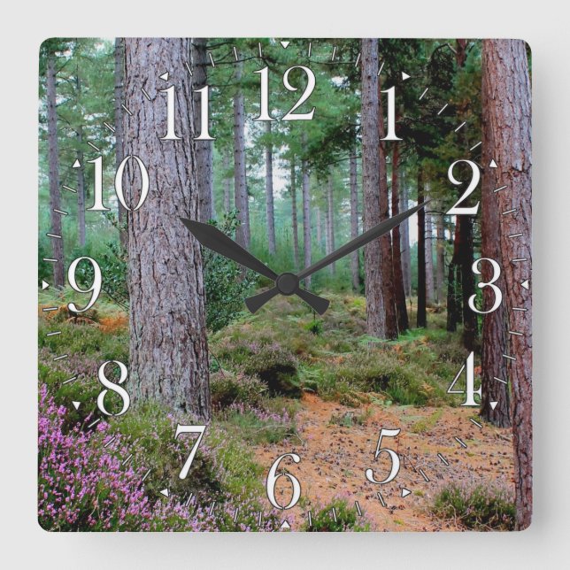 Ashley Heath Woodland Hampshire, England Square Wall Clock (Front)