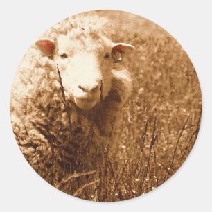 Ashley in Sepia Classic Round Sticker