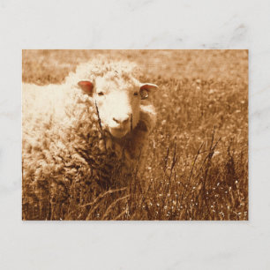 Ashley in Sepia Postcard