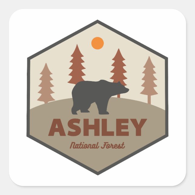 Ashley National Forest Bear Square Sticker (Front)