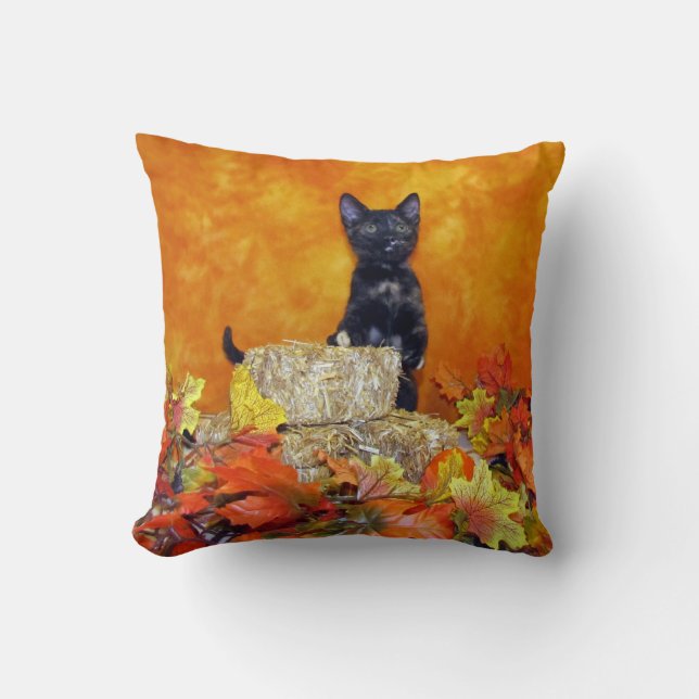 Ashlynn's Autumn Pillow  ( Cat / Kitten) (Front)