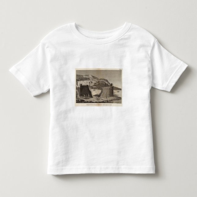 Ashna Crogs, Mull Toddler T-Shirt (Front)