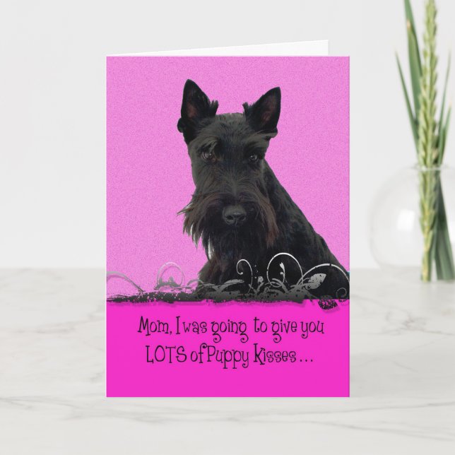 Ashton Mother's Day Licker License Card (Front)